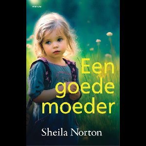 Een goede moeder - Sheila Norton - ebook