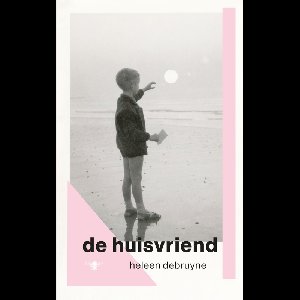 De huisvriend - Heleen Debruyne - ebook