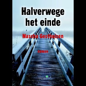 Halverwege het einde - Mascha Gesthuizen - ebook