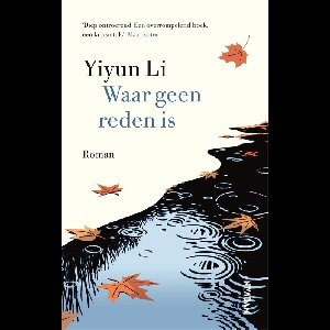 Waar geen reden is - Yiyun Li - ebook