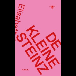 De kleine Steinz - Elisabeth Steinz - ebook