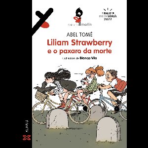 INFANTIL E XUVENIL - MERLÍN E-book - Liliam Strawberry e o paxaro da morte