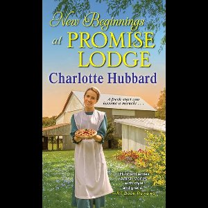 Promise Lodge 4 - New Beginnings at Promise Lodge