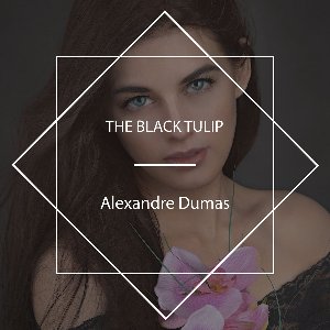 The Black Tulip