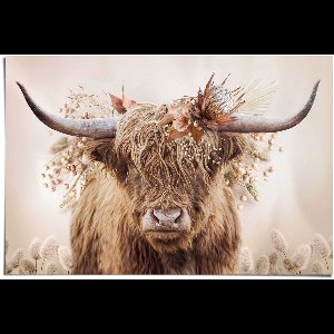 Poster Highlander in bloemen - 61 x 91,5 - Papier - REINDERS