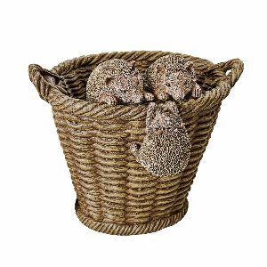 LOBERON Sierpot Gabriel bruin