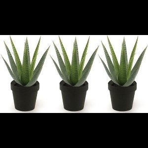 Emerald Kunstplant Aloe Vera - 3x - groen - in zwarte pot - 23 cm