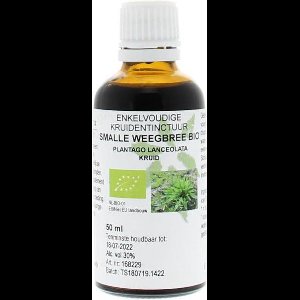 Plantago Lanc/Smalle Weegbree