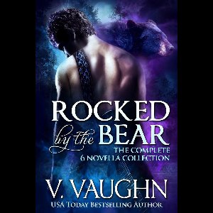 Northeast Kingdom Bears 7 - Rocked by the Bear