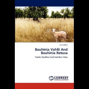 Bauhinia Vahlii And Bauhinia Retusa