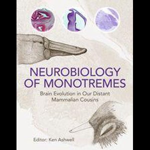 Neurobiology of Monotremes