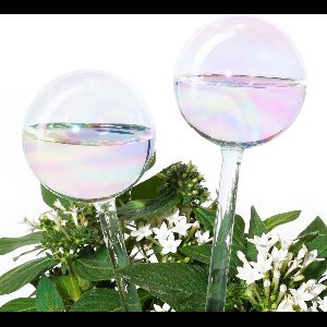 Crrynuo - Gieter- 1 verpakking- gieter-potplanten- zelfbewaterende PVC-bewateringsbal- planten-gieter- 27 x 8 cm-300 ml