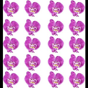 Smoakez - Kunstbloemen: 20 stuks zijden orchideeën voor decoratie, bruiloft en fotografie - Vlinders - Handwerk benodigdheden