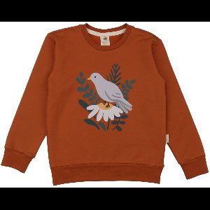 Walkiddy® Kinder Sweatshirt – Jongens & Meisjes – Brown serie – Maat 116 – GOTS-gecertificeerd Biologisch Katoen | Comfort & Duurzaamheid voor Kinderen