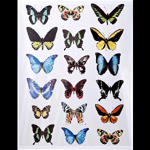 Soffen vlinderbanier 150x200 cm met aluminium stokken en ophangkoord