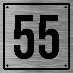 Huisnummerbord 55 - Incl. Schroeven en Pluggen – Acrylaat - 10 x 10 cm - RVS met Zwart