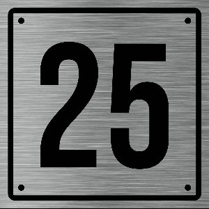Huisnummerbord 25 - Incl. Schroeven en Pluggen – Acrylaat - 10 x 10 cm - RVS met Zwart