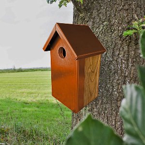 Magma | Vogelhuis | Nestkastje | Cortenstaal | Hout | Mus