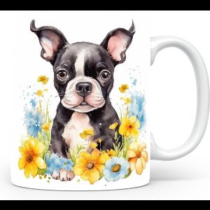 Mok met Boston Terrier