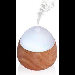 Progenion Aromadiffuser Aromaverdamper PR-A613 geurverspreider