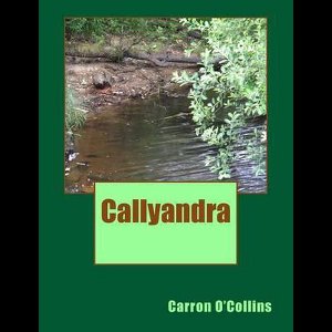 Callyandra