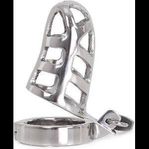 Kuisheidskooi RVS met hangslot