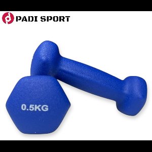 Padisport - Dumbells 0.5 Kg - Halter - Gewichten Set Halters - Gewichten 0.5 Kg - Blauw - Gewichten - Dumbells - Halters - Gewichtjes 0.5 Kg
