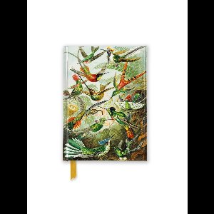 Flame Tree Pocket Notebooks- Ernst Haeckel: Hummingbirds (Foiled Pocket Journal)
