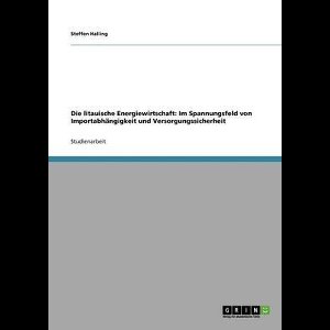 Die litauische Energiewirtschaft