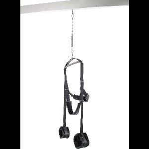 Fetish Fantasy - Spinning Fantasy Swing - SM