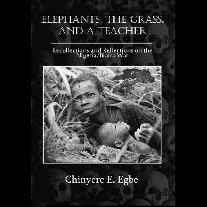 Elephants, The Grass, and a Teacher