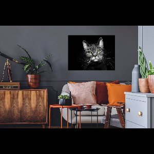 Muurstickers - Sticker Folie - Huisdieren - Kat - Dieren - Zwart - Wit - 80x60 cm - Plakfolie - Muurstickers Kinderkamer - Zelfklevend Behang - Zelfklevend behangpapier - Stickerfolie