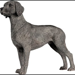 Hondenbeeldje Weimeraner, hondenbeeldje, figuur Weimeraner