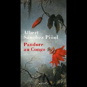 Pandore au Congo