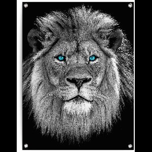 Tuinposter Leeuw met blauwe ogen - 80 x 60 - Canvas - REINDERS