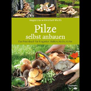 Pilze selbst anbauen