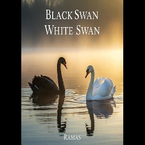 Black Swan, White Swan complete series - Black Swan, White Swan