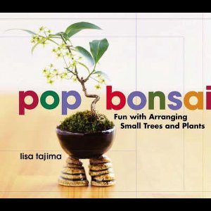 Pop Bonsai: Fun With Arranging Small Trees And Plants