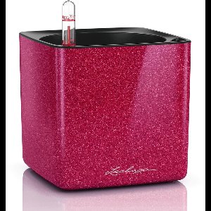 LECHUZA CUBE GLOSSY KISS 14 - Plantenbak - met uitneembare binnenbak - met bewateringssysteem - ALL-IN-ONE set - cherry pie glitter hoogglans