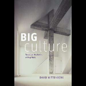 Big Culture