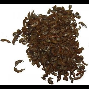 Gammarus ( Vlokreeftjes ) 500 ml