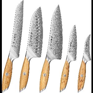 Hezhen X01 Flagship Series – Professionele Messenset (5-delig) - Damascus staal (73 laags met poederstalen kern van 14Cr14MoVNb) - Olijfhout - Vlijmscherpe damastmessen - Inclusief mooie geschenkdoos