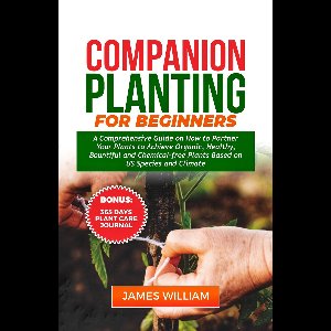 COMPANION PLANTING FOR BEGINNERS