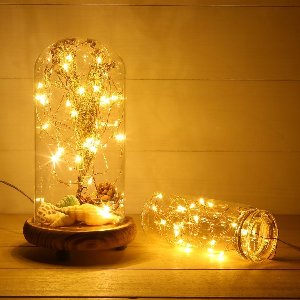 Crrynuo Fairy Lights - Lichtsnoer Binnen en Buiten - 3 meter LED Lampjes Slinger - LED Lampjes Slinger - Warm White