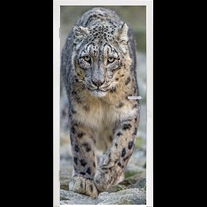 Deursticker Luipaard - Stenen - Lopen - 85x215 cm - Deurposter