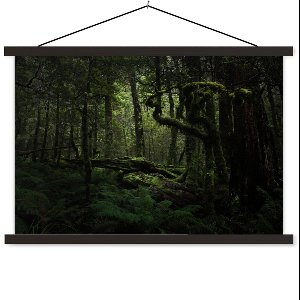 Posterhanger incl. Poster 90x60 cm - Schoolplaat - Donkere sprookjes jungle - Textielposter - Zwarte latten