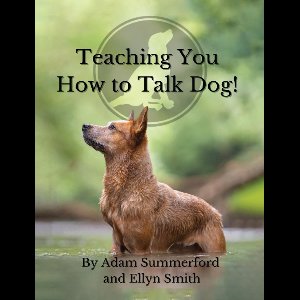 Teaching You How To Talk Dog!