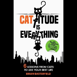 Cattitude Is Everything