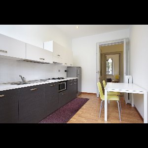 JYG Vloerkleed Greece - Keukenloper - Keukenmat - Anti Slip - 66x700 cm - Aubergine