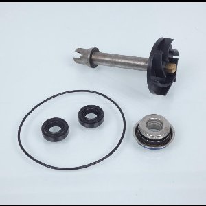Pompe à eau Sifam pour Scooter Piaggio 400 Beverly Tourer 2008 à 2012 Neuf